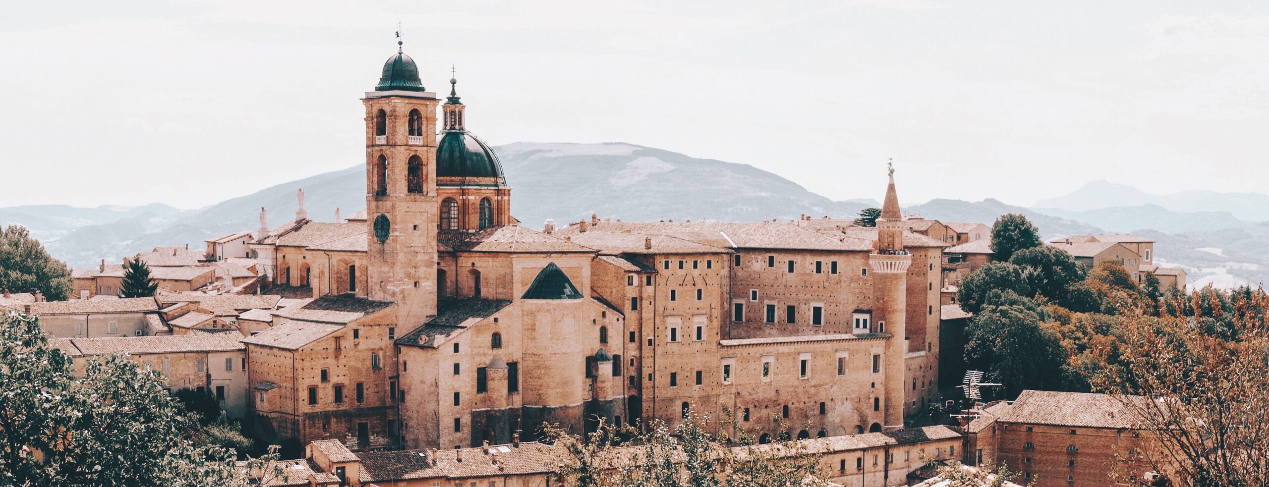 Next Stop: Wonderland