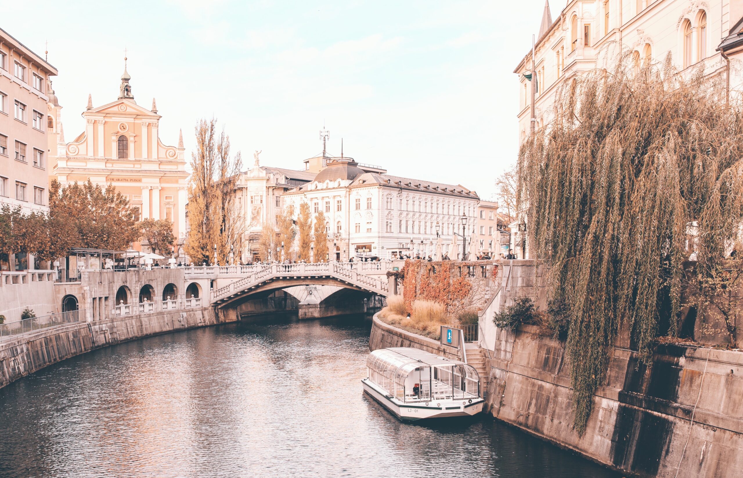 Next Stop: Wonderland