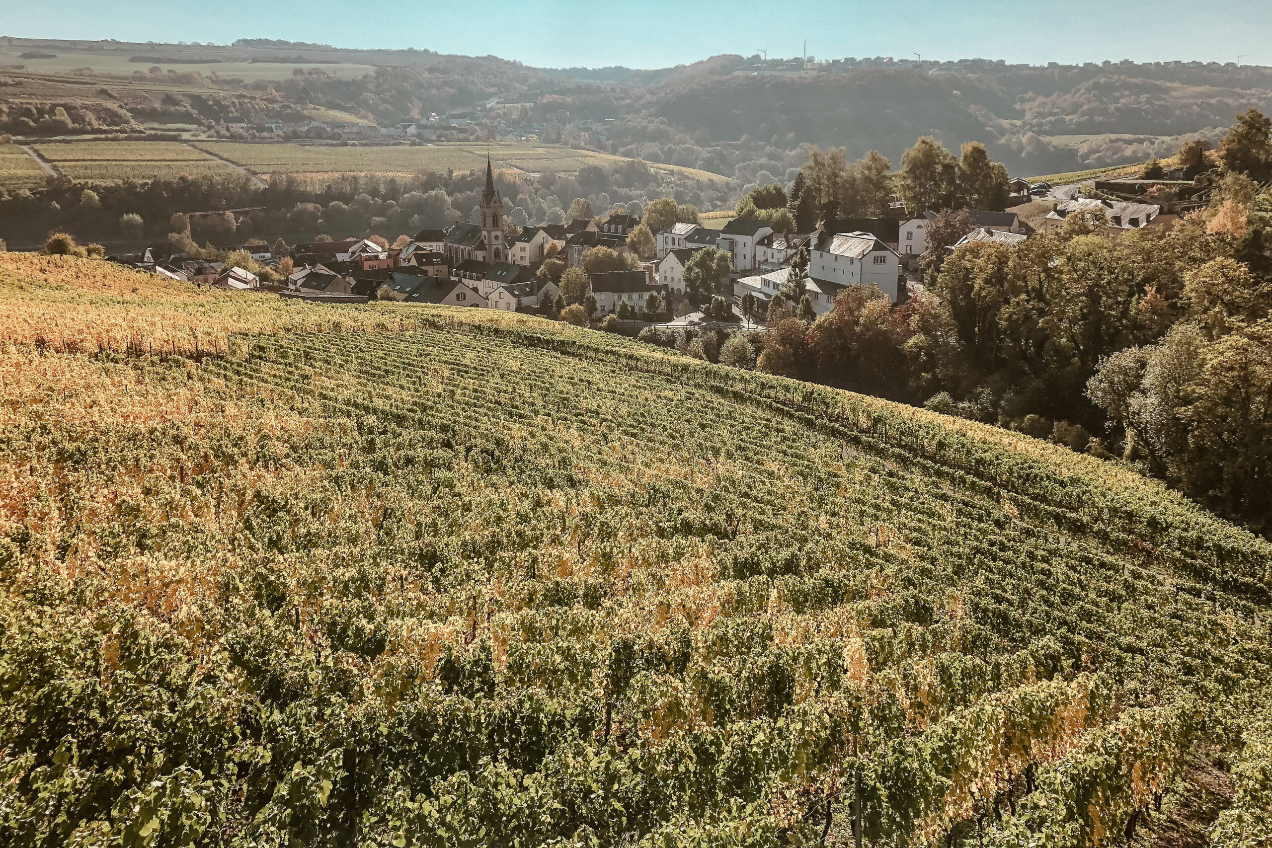 A Luxembourg Food Journey