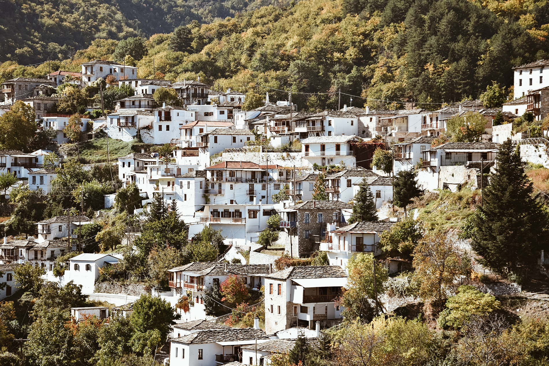 Holy Heritage: Languages That Are Almost Extinct