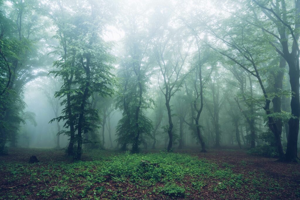 Say Boo!: How to Have a Spooktacular Halloween