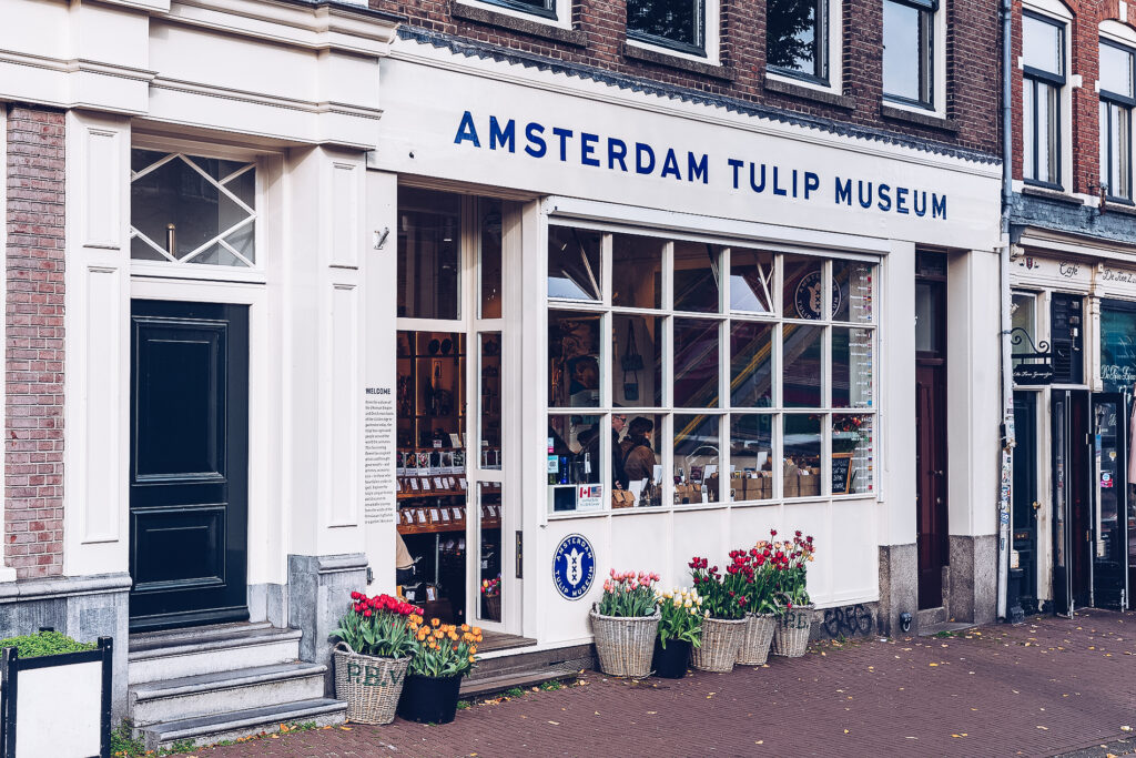 How To Do Holland’s Tulip Festival Properly