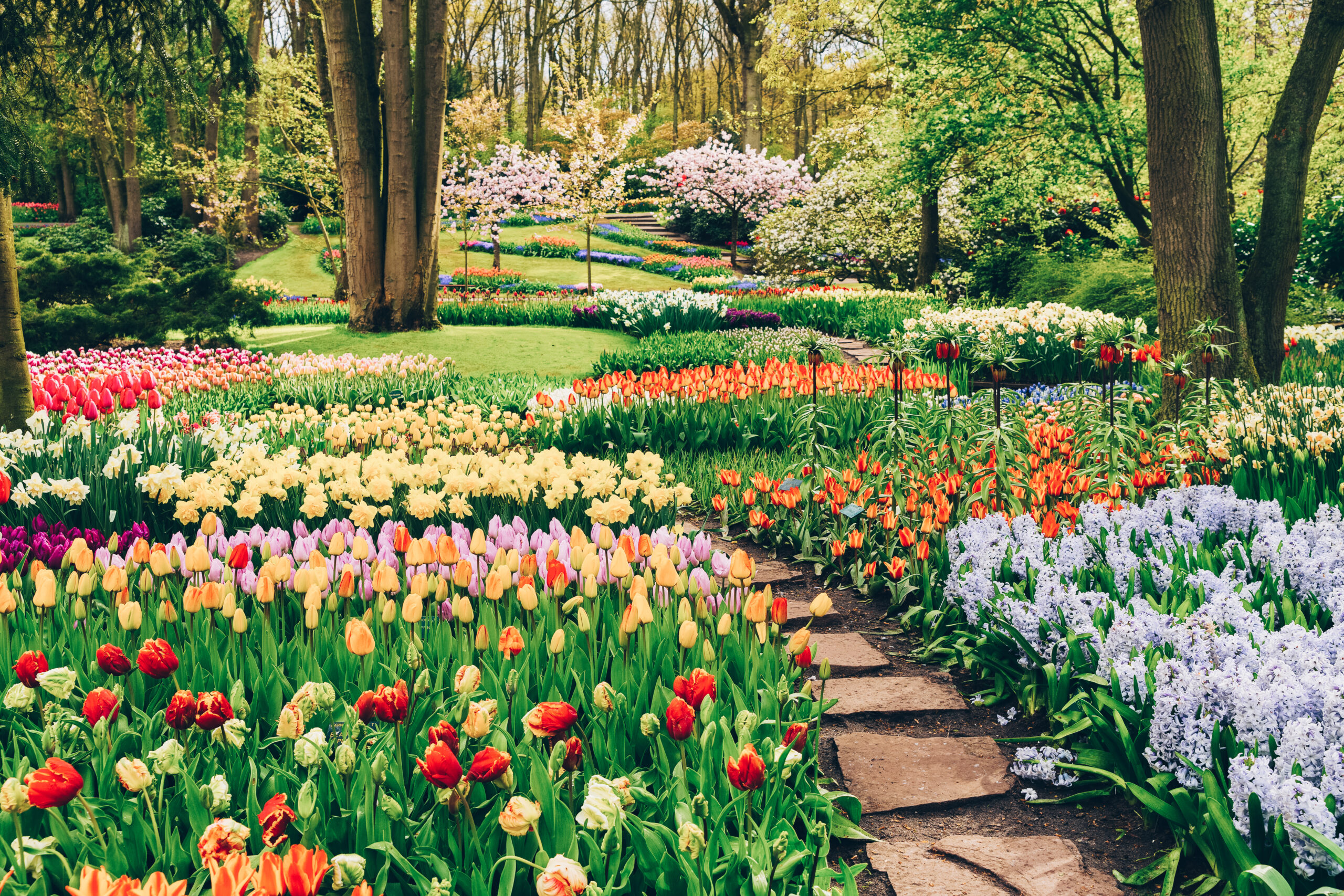 How To Do Holland’s Tulip Festival Properly
