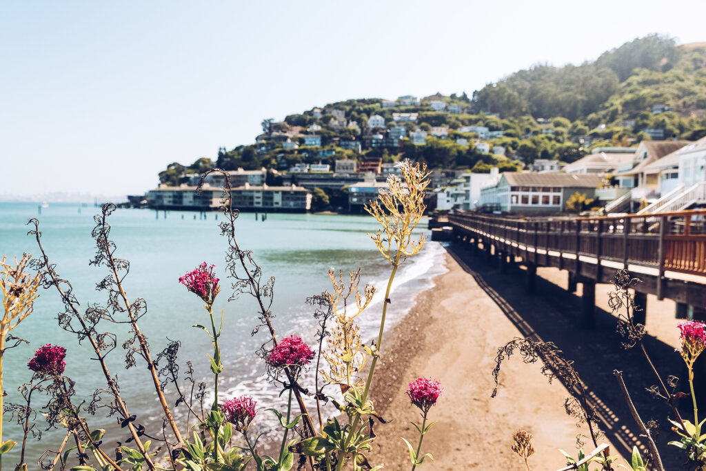 Top Things To Do in San Francisco