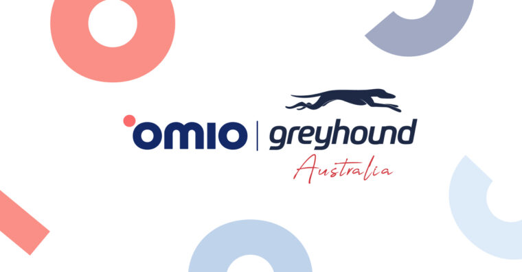 Greyhound