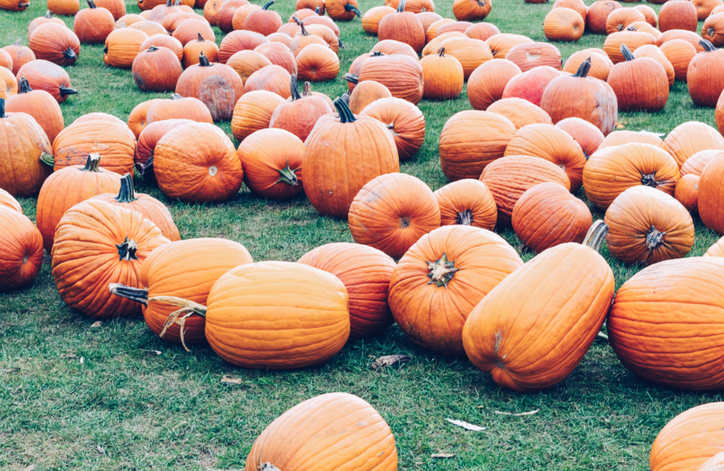 Halloween in New York City 2022 