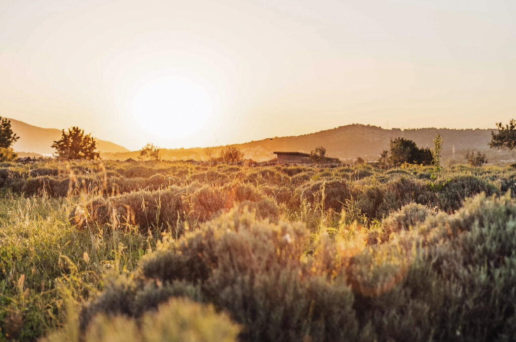 Things To Do in Hvar, Croatia